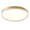 Ceiling lamp Incanti Monarch, metal, matt gold, LED CCT, 53W, 3329 lumens, 3000K/4000K/6000K, D.60 cm
