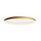Ceiling lamp Redo Nobu, metal, matt gold, dimmable, LED CCT, 60W, 3676 lumens, 3000K/4000K, L.60 cm