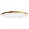 Ceiling lamp Redo Nobu, metal, matt gold, dimmable, LED CCT, 80W, 4904 lumens, 3000K/4000K, L.80 cm
