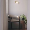 Ceiling lamp Redo Lumien, metal, matt gold, LED CCT, 7W, 366 lumens, warm white 2700K/3000K, L.19 cm