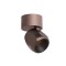 Ceiling lamp Redo Crisp, metal, brushed brown, LED CCT, 8W, 438 lumens, warm white 2700K/3000K, H.11 cm