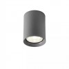 Ceiling lamp Redo Xilo, metal, dark grey, LED, 9W, 756 lumens, neutral white 4000K, D.8 cm, IP54