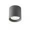 Ceiling lamp Redo Xilo, metal, dark grey, LED, 15W, 1360 lumens, neutral white 4000K, D.11 cm, IP54