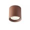 Ceiling lamp Redo Xilo, metal, dark brown, LED, 15W, 1360 lumens, neutral white 4000K, D.11 cm, IP54