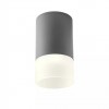 Ceiling lamp Redo Xilo, metal, dark grey, LED, 6W, 518 lumens, warm white 3000K, D.9 cm, IP54