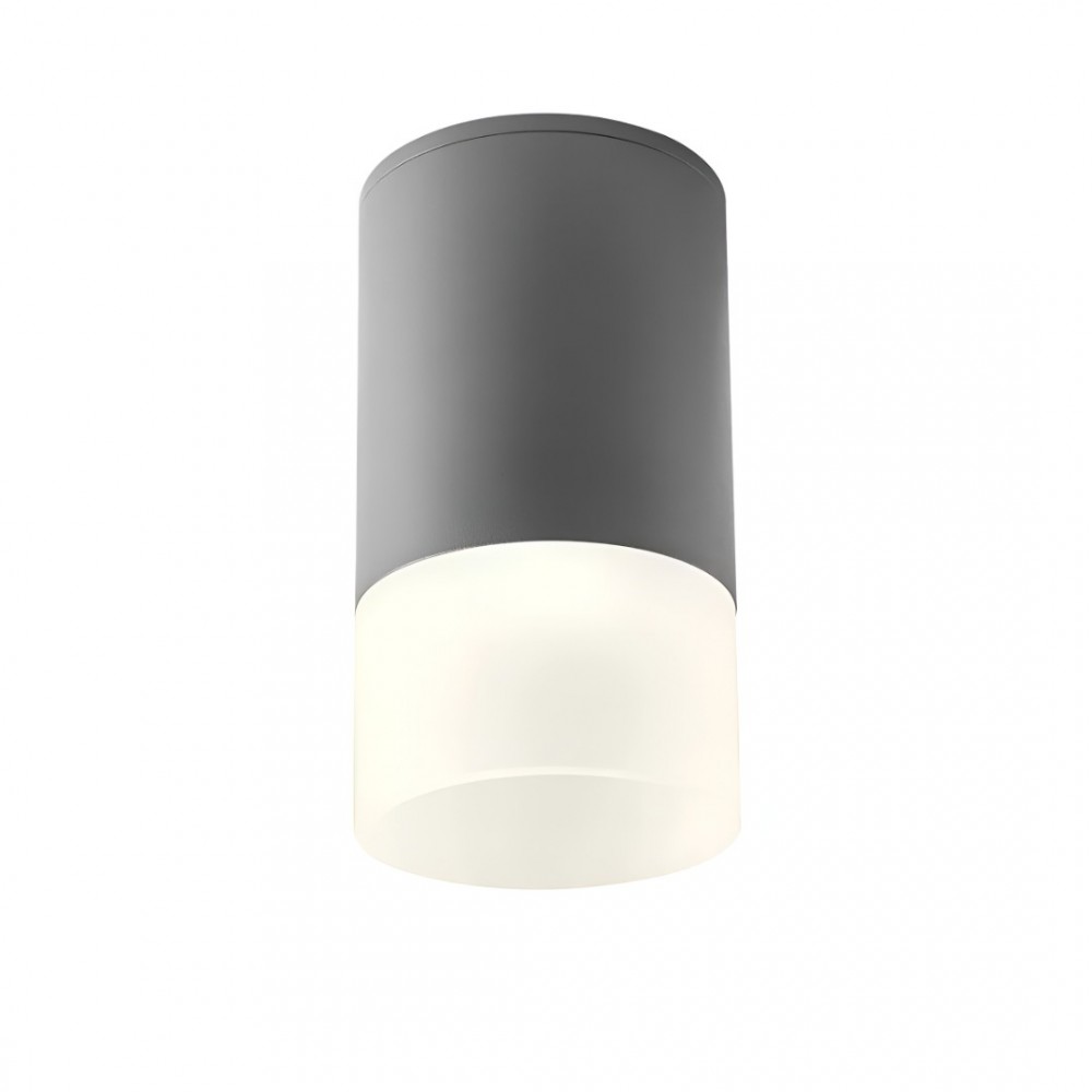 Ceiling lamp Redo Xilo, metal, dark grey, LED, 6W, 570 lumens, neutral white 4000K, D.9 cm, IP54