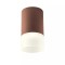 Ceiling lamp Redo Xilo, metal, dark brown, LED, 6W, 570 lumens, neutral white 4000K, D.9 cm, IP54