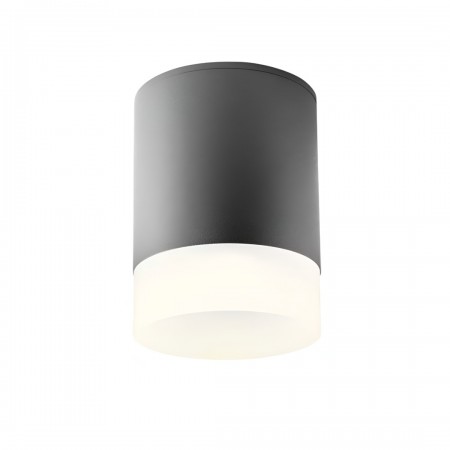 Ceiling lamp Redo Xilo, metal, dark grey, LED, 15W, 1276 lumens, warm white 3000K, D.11 cm, IP54