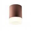 Ceiling lamp Redo Xilo, metal, dark brown, LED, 15W, 1276 lumens, warm white 3000K, D.11 cm, IP54