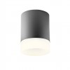 Ceiling lamp Redo Xilo, metal, dark grey, LED, 15W, 1410 lumens, neutral white 4000K, D.11 cm, IP54