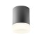 Ceiling lamp Redo Xilo, metal, dark grey, LED, 15W, 1410 lumens, neutral white 4000K, D.11 cm, IP54