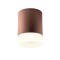 Ceiling lamp Redo Xilo, metal, dark brown, LED, 15W, 1410 lumens, neutral white 4000K, D.11 cm, IP54