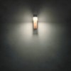 Wall lamp Redo Woody, metal, dark grey, LED, 10W, 650 lumens, warm white 3000K, H.20 cm, IP54