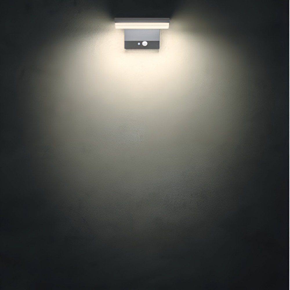 Wall lamp Redo Taiyo, metal, dark grey, LED, 2W, 240 lumens, warm white 3000K, L.18 cm, IP54