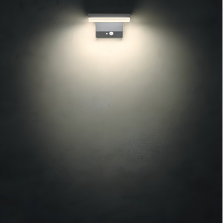 Wall lamp Redo Taiyo, metal, dark grey, LED, 2W, 240 lumens, warm white 3000K, L.18 cm, IP54