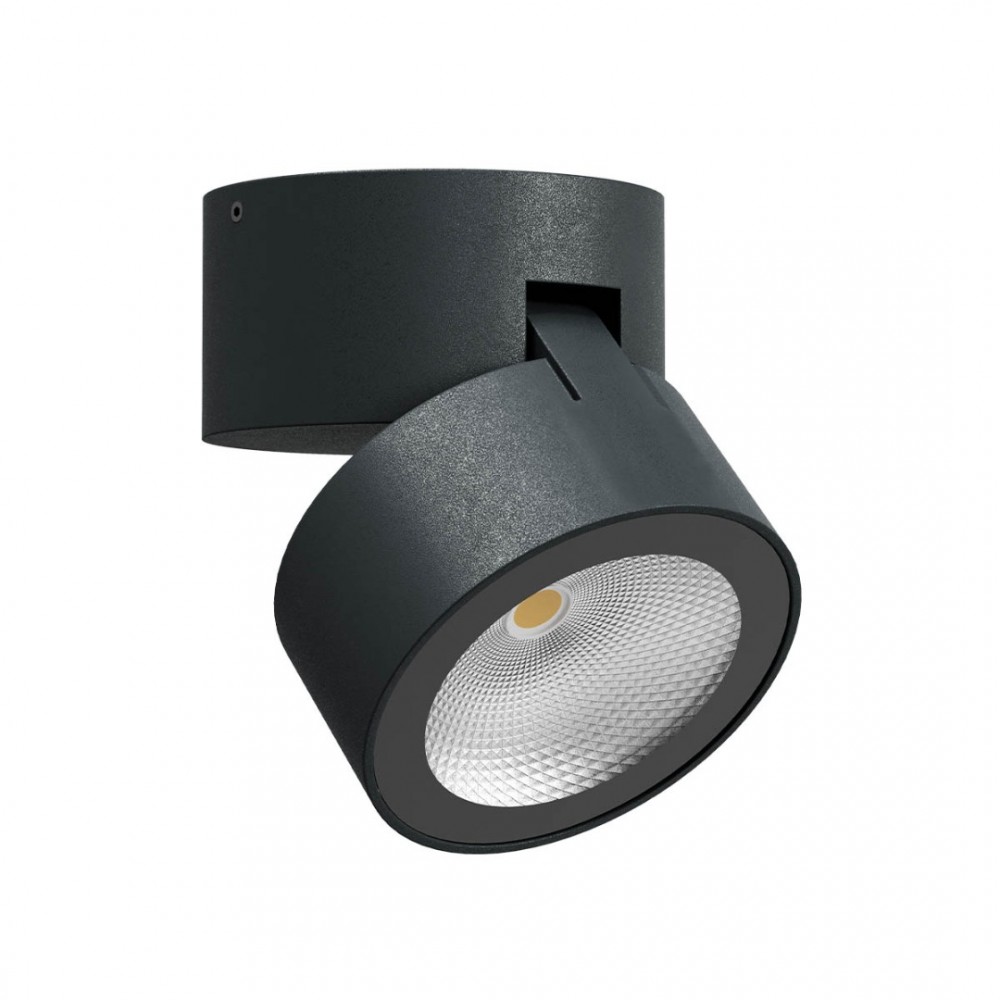 Ceiling lamp Redo Shaft, metal, dark grey, LED, 13W, 990 lumens, warm white 3000K, D.9 cm, IP65