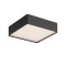 Ceiling lamp Redo Nox, metal, sand black, LED CCT, max.21W, 2383 lumens, warm white 2700K/3000K, L.22 cm, IP65