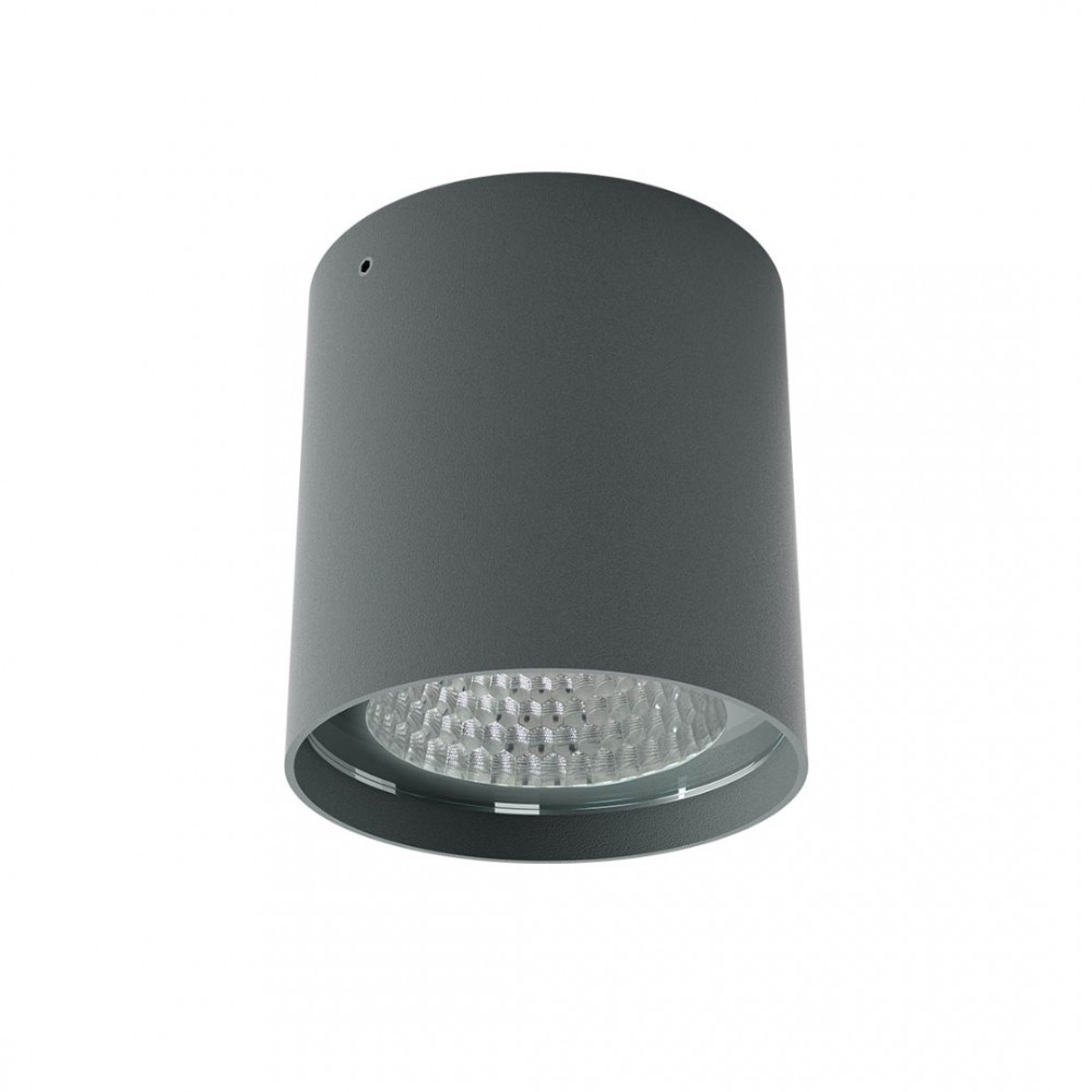 Ceiling lamp Redo Xia, metal, dark grey, LED, 19W, 1430 lumens, warm white 3000K, D.9 cm, IP65