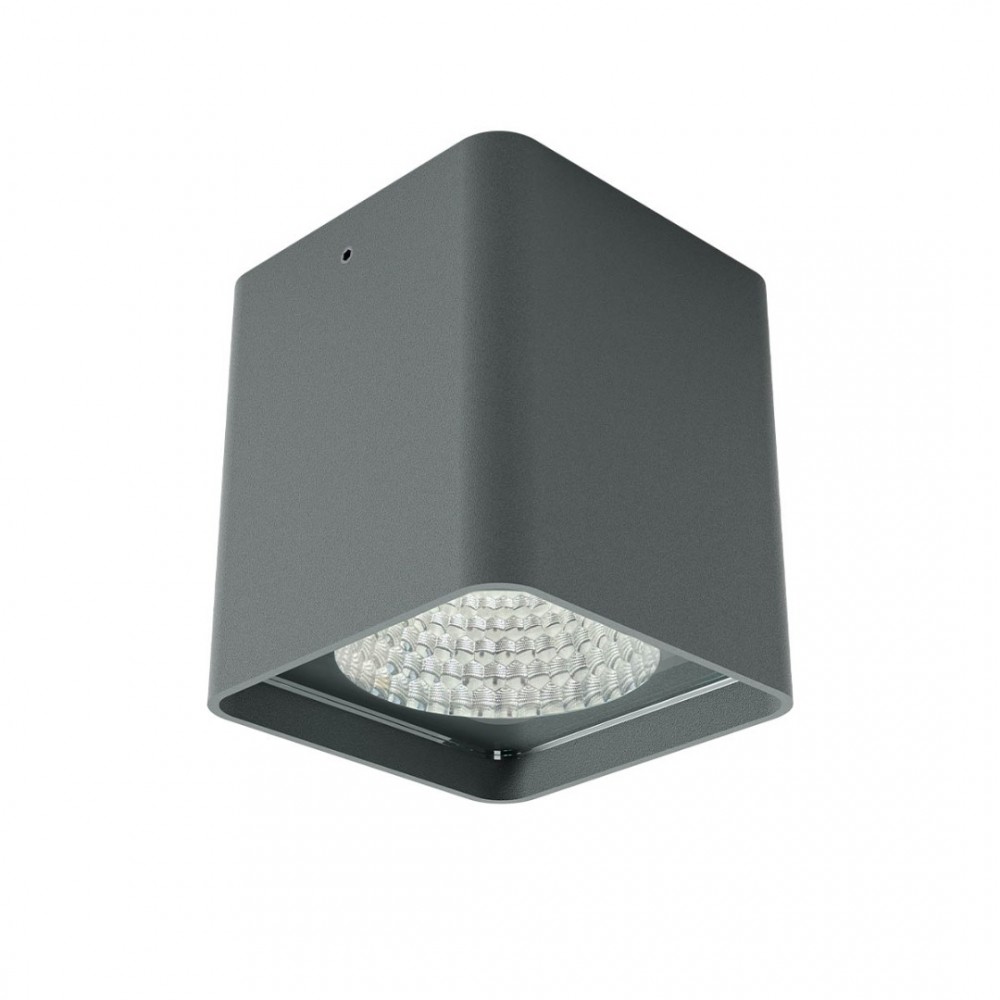 Ceiling lamp Redo Xia, metal, dark grey, LED, 19W, 1430 lumens, warm white 3000K, H.11 cm, IP65