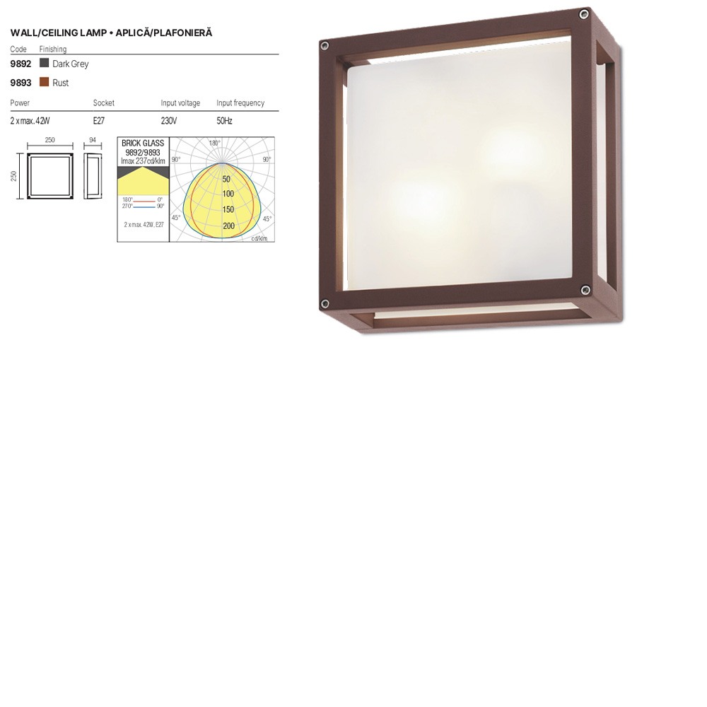 Ceiling lamp Redo Brick, metal, glass, dark grey, 2XE27, L.25 cm, IP54