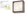 Ceiling lamp Redo Brick, metal, glass, dark grey, 2XE27, L.25 cm, IP54