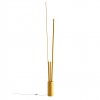 Floor lamp Smarter Herald, metal, matt gold, dimmable, LED CCT, 36W, 2280 lumens, 3000K/4000K, H.164 cm