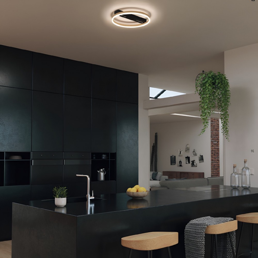 Ceiling lamp Smarter Demy, metal, sand black/matt gold, LED, 36W, 2171 lumens, warm white 3000K, D.50 cm