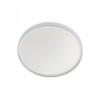 Ceiling lamp Smarter Amon, metal, chrome, LED, 24W, 1140 lumens, neutral white 4000K, D. 38,5 cm