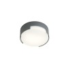 Wall lamp Redo Skor, metal, dark grey, LED, 13W, 752 lumens, warm white 3000K, D.15 cm, IP54