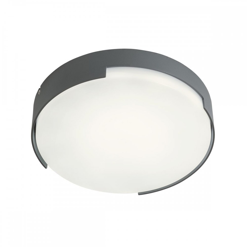 Ceiling lamp Redo Skor, metal, dark grey, LED, 17W, 1020 lumens, warm white 3000K, D.25 cm, IP54