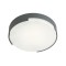 Ceiling lamp Redo Skor, metal, dark grey, LED, 17W, 1020 lumens, warm white 3000K, D.25 cm, IP54