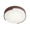 Ceiling lamp Redo Skor, metal, dark brown, LED, 17W, 1020 lumens, warm white 3000K, D.25 cm, IP54