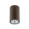 Ceiling lamp Redo Ram, metal, dark brown, LED, 4W, 288 lumens, warm white 3000K, IP65