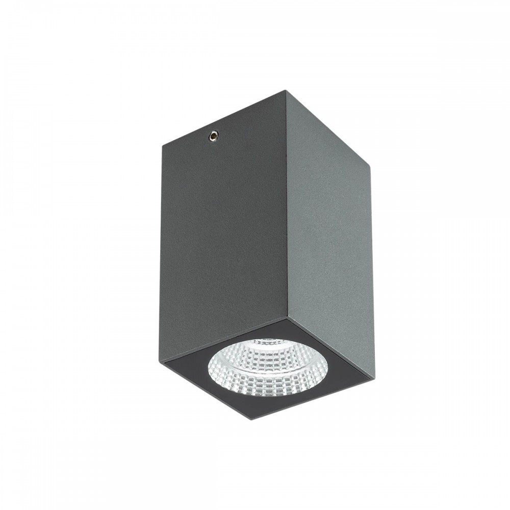 Ceiling lamp Redo Quad, metal, dark grey, LED, 4W, 280 lumens, warm white 3000K, H.10 cm, IP65
