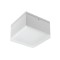 Ceiling lamp Akron, metal, matt white, LED, 9W, 754 lumens, warm white 3000K, IP54
