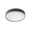 Ceiling lamp Redo Ponza, dark grey, LED, 15W, 820 lumens, warm white 3000K, D.26 cm, IP65