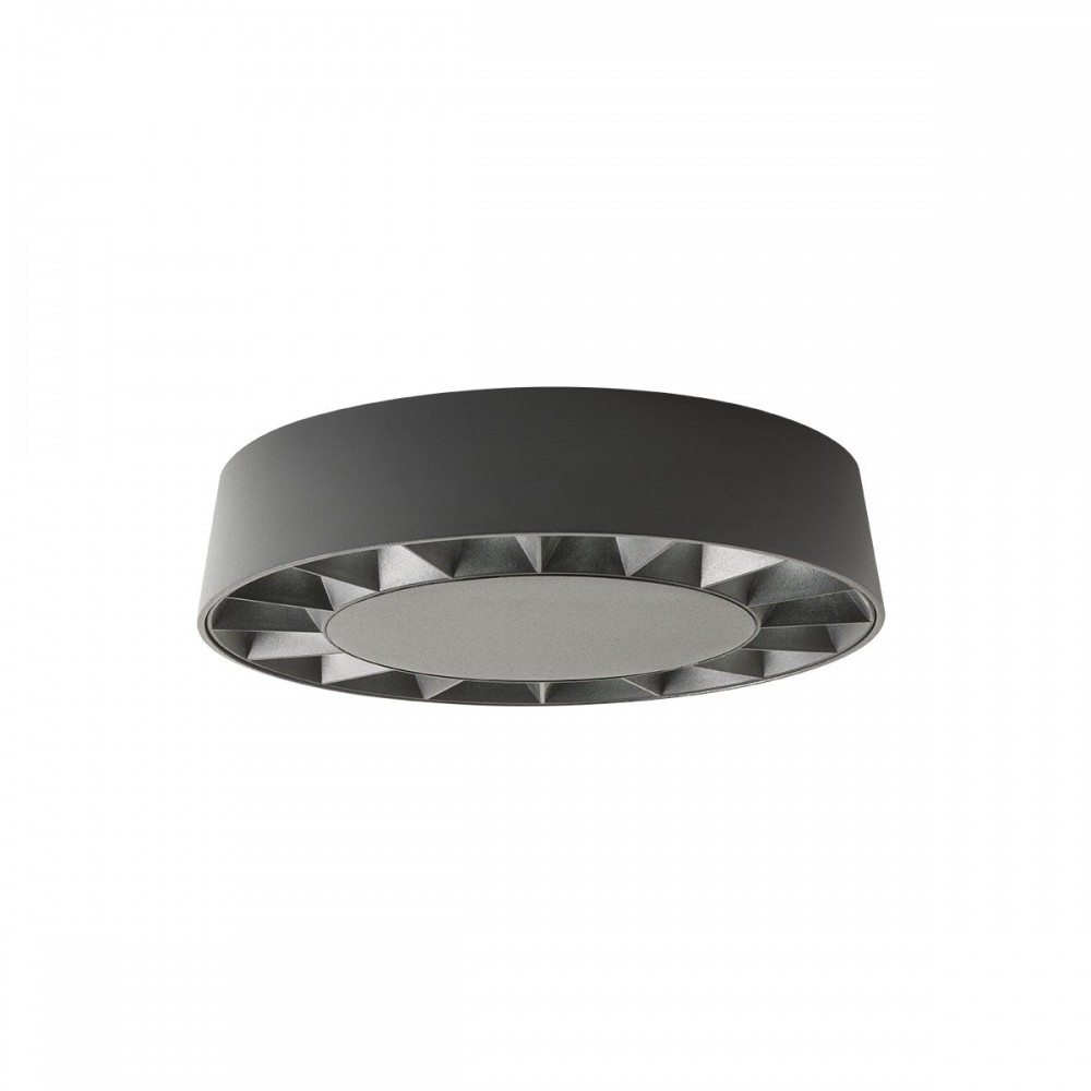 Ceiling lamp Redo Oku, metal, dark grey, LED, 12W, 958 lumens, warm white 3000K, D.18 cm, IP65