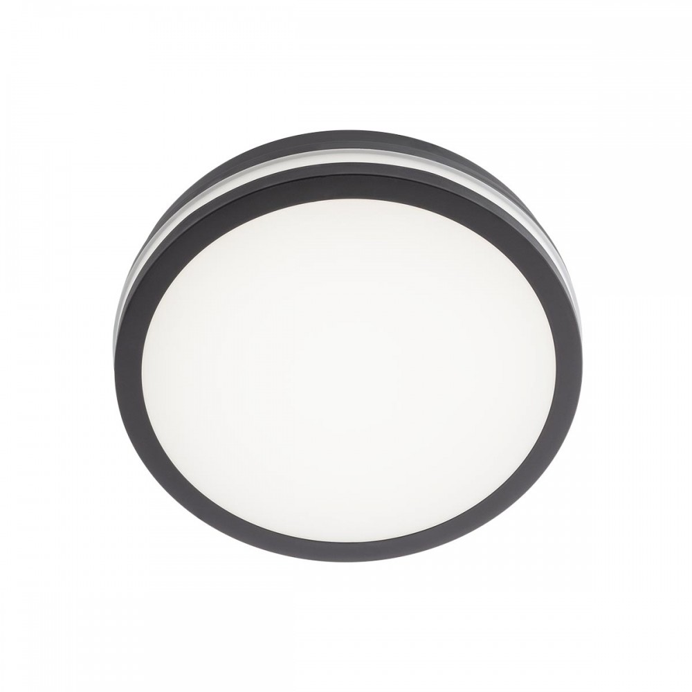Ceiling lamp Redo Isola, metal, dark grey, CCT, LED, 24W, 2060 lumens, 3000K-6500K, D.26 cm, IP54