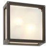 Ceiling lamp Redo Brick, metal, glass, dark grey, 2XE27, L.25 cm, IP54
