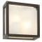 Ceiling lamp Redo Brick, metal, glass, dark grey, 2XE27, L.25 cm, IP54