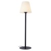 Floor lamp Redo Pino, metal, dark grey, 1XE27, H.185 cm, IP65
