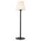 Floor lamp Redo Pino, metal, dark grey, 1XE27, H.185 cm, IP65